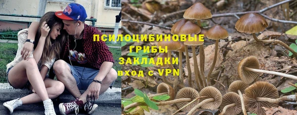 мдпв Майский