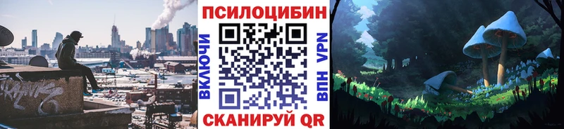 MEGA маркетплейс  как найти закладки  Кашин  Галлюциногенные грибы GOLDEN TEACHER 