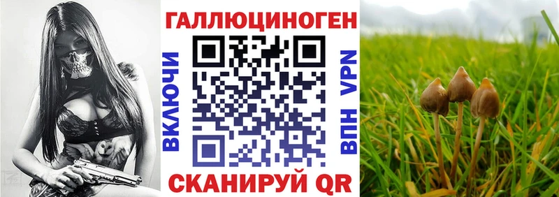 Галлюциногенные грибы Magic Shrooms Кашин